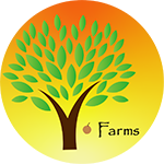 Y-Farms
